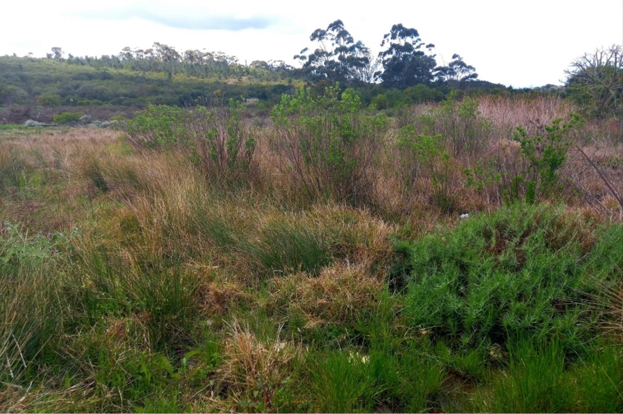 0 Bedroom Property for Sale in Albertinia Western Cape